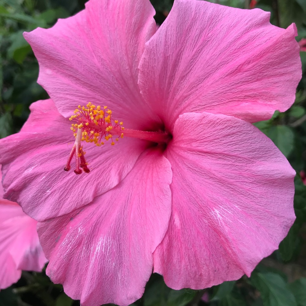 Meet your Posher, Kat